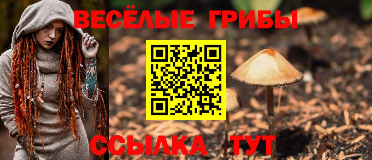 Галлюциногенные грибы Cubensis Рассказово