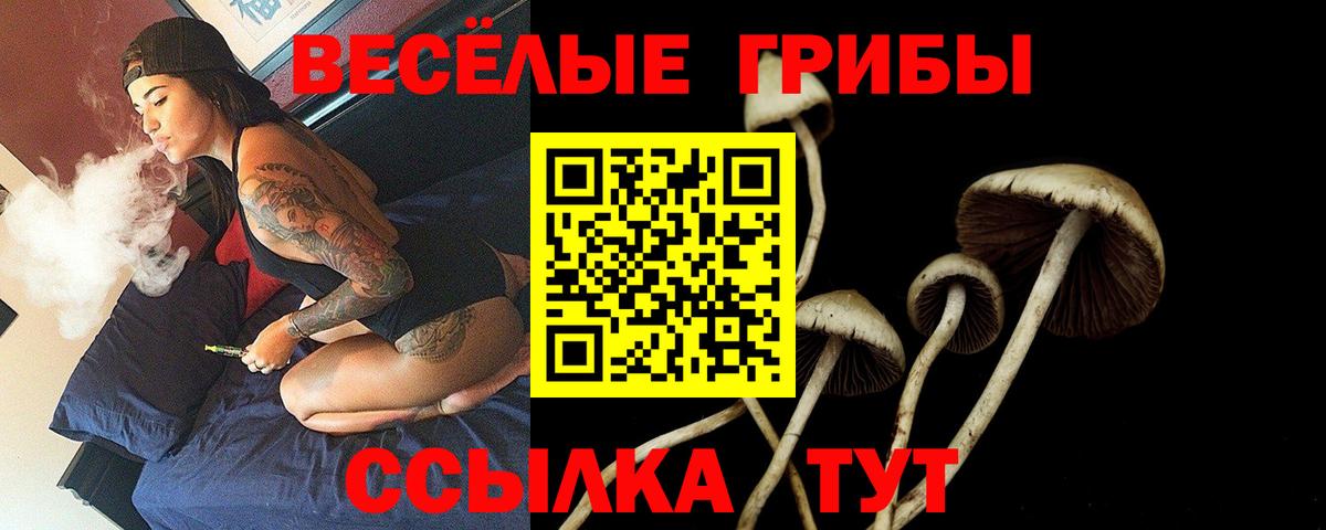 Псилоцибиновые грибы мухоморы  Вход с VPN  Псилоцибиновые грибы ЛСД  Рассказово 